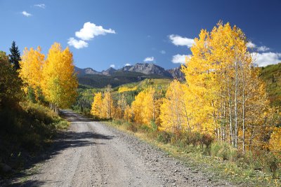 Dirt road with aspens (3)