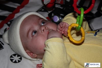 IMG_1541.jpg