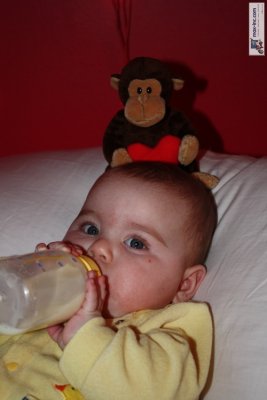 IMG_2251.jpg