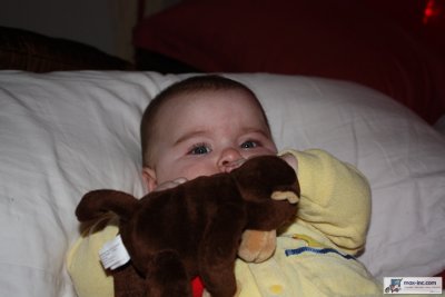 IMG_2261.jpg