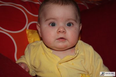 IMG_2264.jpg