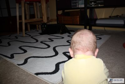 IMG_2273.jpg