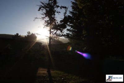 IMG_3115.jpg