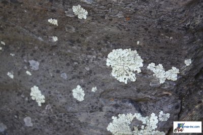 IMG_3116.jpg