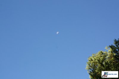 IMG_3123.jpg