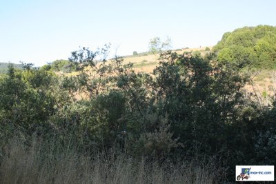 IMG_3126.jpg