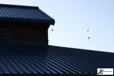 IMG_3146.jpg