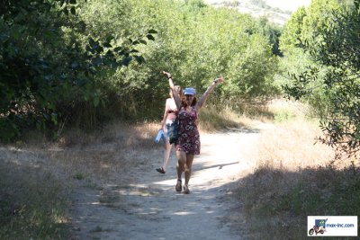 IMG_3206.jpg