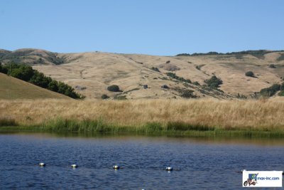 IMG_3229.jpg