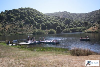 IMG_3233.jpg