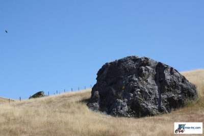 IMG_3432.jpg