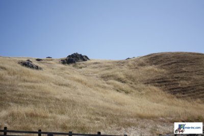 IMG_3434.jpg