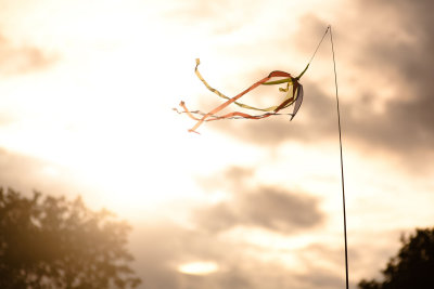 _MG_2606.jpg
