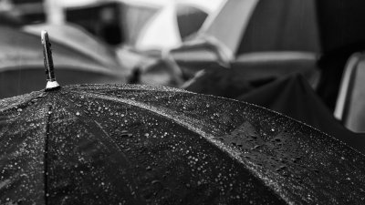 _MG_2650.jpg