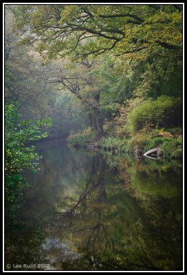 Reflected Glory