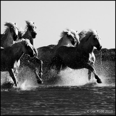 Manes Rush By
