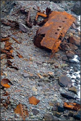 Debris on the Beach