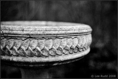 Birdbath