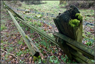 Broken Fence