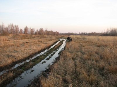 Podmokłe tereny nad Lwą(IMG_7170.jpg)