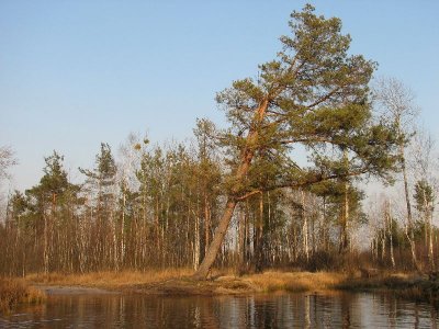 Rezerwat Perebrodzki(IMG_7211.jpg)