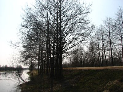 (IMG_7259.jpg)