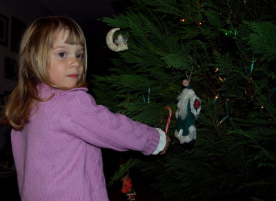 Cutting Down the Christmas Tree