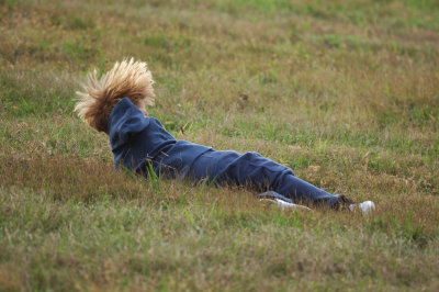 Rolling Down the Levee