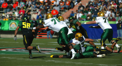 A14X6071f.jpg