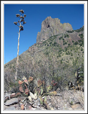 Emory Peak