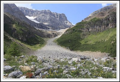 Along Plain of Six Glaciers Trail