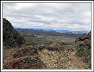 Along Oak Spring Trail