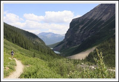 Along Plain of Six Glaciers Trail