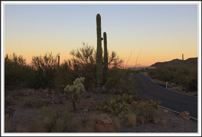 Roadside Scenery