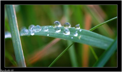 Water pearls