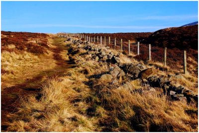 pentlandHills5.jpg