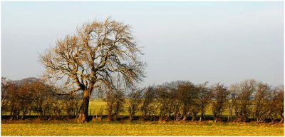 pentlandHills12.jpg