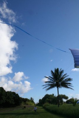g1/15/525015/3/105909096.WhPvi89j.jpg