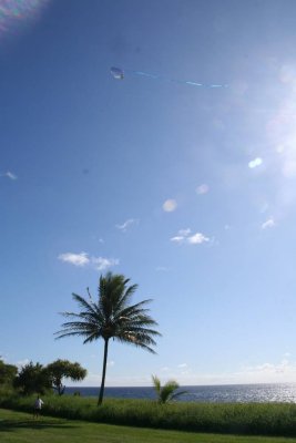 g1/15/525015/3/105909099.iXwSPReM.jpg