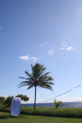 g1/15/525015/3/105909100.m07tsn0Y.jpg