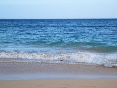 g1/15/525015/3/125569039.2xIVualP.jpg