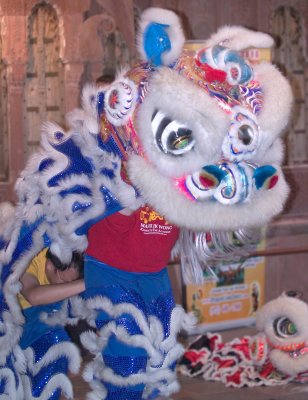 Lion Dance at the Crow Center in Dallas for Chinese New Years 2009