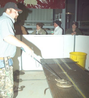Sweetwater Rattlesnake 2009 011.JPG
