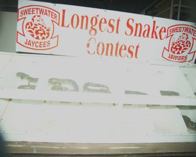 Sweetwater Rattlesnake 2009 029.JPG
