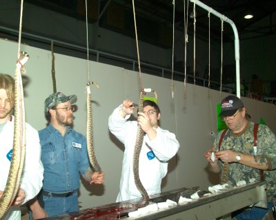 Sweetwater Rattlesnake 2009 070.JPG