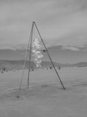 SS851129.JPG