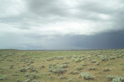 GD638953.JPG