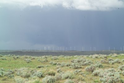 GD638955.JPG
