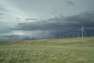 GD638979.JPG