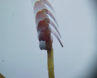 G4NR7119.JPG